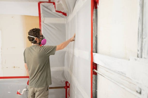 Best Mold Removal for HVAC Installations  in Gonzalez, FL