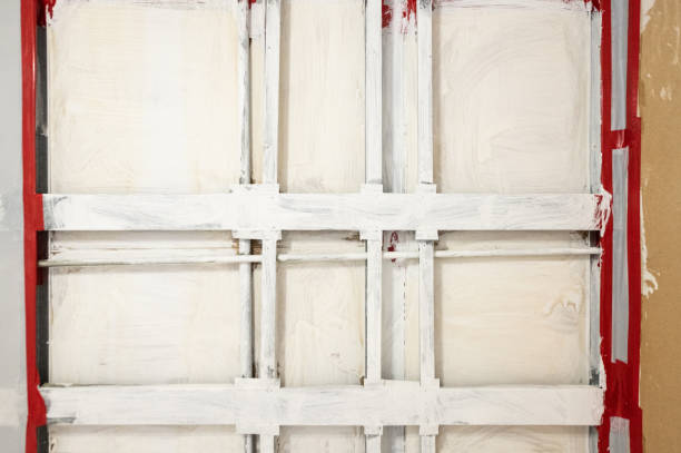Best Basement Mold Removal  in Gonzalez, FL
