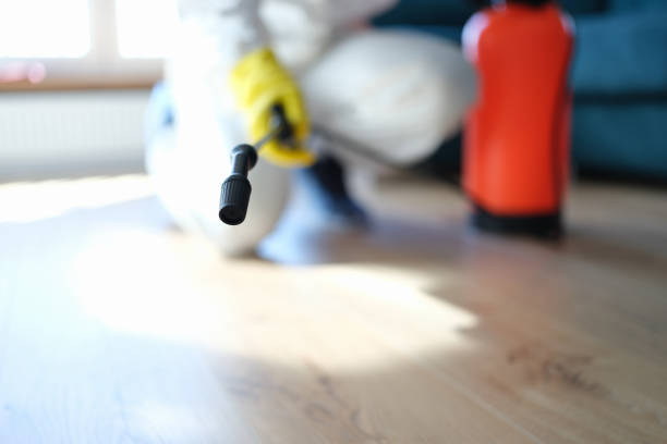 Best Mold Remediation for Healthcare Facilities  in Gonzalez, FL