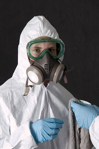Best Basement Mold Removal  in Gonzalez, FL
